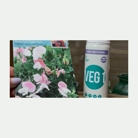 Logo VEG 1 (The Vegan Society)